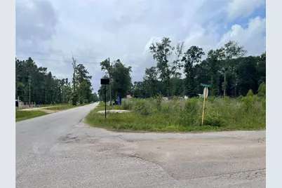 Lot 21 Galaxy Boulevard, New Caney, TX 77357 - Photo 1