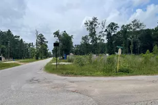 Lot 21 Galaxy Blvd, New Caney, TX 77357 - Photo 1