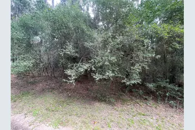 3440 Corolla Road, Magnolia, TX 77354 - Photo 2