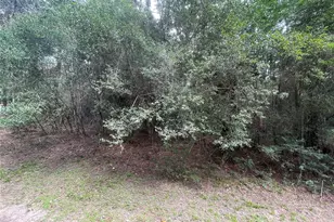 3440 Corolla Rd, Magnolia, TX 77354 - Photo 2