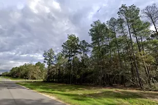 15712 Republic Ranch Rd N, Willis, TX 77378 - Photo 6