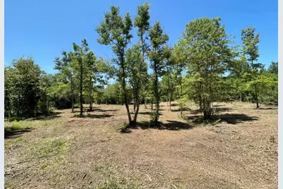 Lot 6 E Fm 942, Livingston, TX 77351 - Photo 30