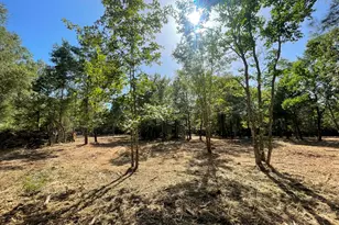 Lot 6 E Fm 942, Livingston, TX 77351 - Photo 1