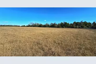 3763 Cr 490, Normangee, TX 77871 - Photo 10