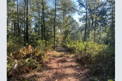 00 Hardy Bottom Road, Huntsville, TX 77340 - Photo 2