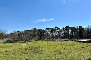 18712-B Sheats Rd, Conroe, TX 77302 - Photo 10