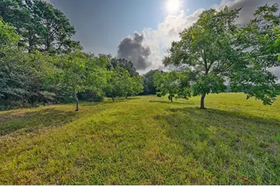 28322 Mellman Road, Hempstead, TX 77445 - Photo 6