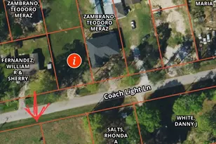 Tbd Coach Light Forest, New Caney, TX 77357 - Photo 10