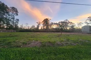 Tbd Coach Light Forest, New Caney, TX 77357 - Photo 8