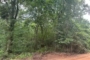 0 Foxfire Dr, Plantersville, TX 77363 - Photo 1