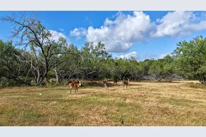 Tract 4 Tbd Mensik Rd, Bryan, TX 77808 - Photo 4