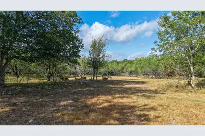 Tract 4 Tbd Mensik Rd, Bryan, TX 77808 - Photo 12