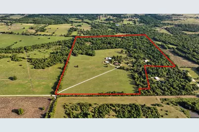 7396 County Road 204, Plantersville, TX 77363 - Photo 2