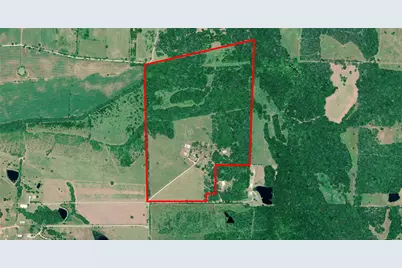 7396 County Road 204, Plantersville, TX 77363 - Photo 50