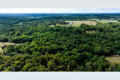 7396 County Road 204, Plantersville, TX 77363 - Photo 48