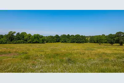 Tract #9 Cr 305 Road, Navasota, TX 77868 - Photo 18