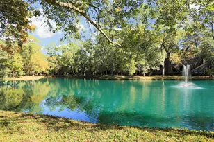 222 Litchfield Ln, Houston, TX 77024 - Photo 36