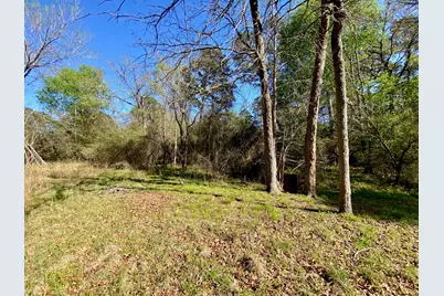 361 Beaver Run, Grapeland, TX 75844 - Photo 6