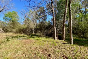 361 Beaver Run, Grapeland, TX 75844 - Photo 6