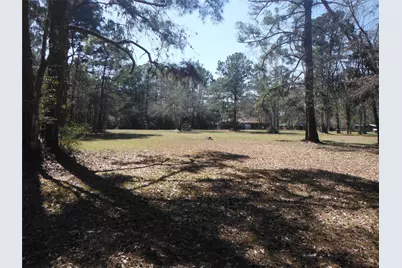 11585 Duffy Road Road, Conroe, TX 77302 - Photo 4