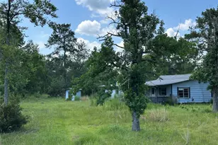 2736 Whitetail Forest Rd, Kountze, TX 77625 - Photo 8
