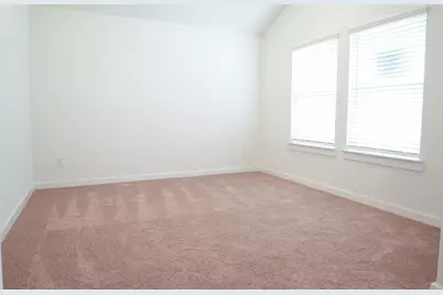3518 Windmill Palm Drive, Manvel, TX 77578 - Photo 12