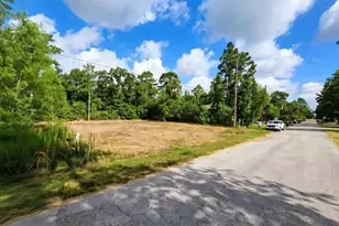 10919 Fairview Dr, Conroe, TX 77385 - Photo 4