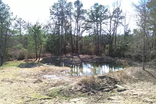 000 Cr 4120, Crockett, TX 75835 - Photo 1