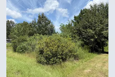 69 County Road 3404, Cleveland, TX 77327 - Photo 8