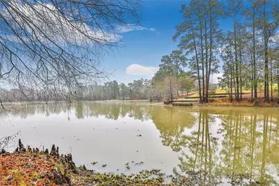 25734 Water Ridge Drive, Houston, TX 77336 - Photo 4