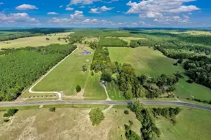 20645 FM350N, Moscow, TX 75960 - Photo 4