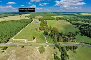 20645 FM350N, Moscow, TX 75960 - Photo 14