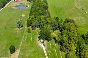 20645 FM350N, Moscow, TX 75960 - Photo 6