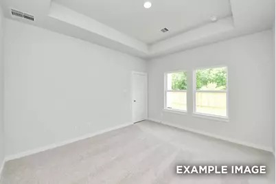 1115 Wildflower Way Drive, Beasley, TX 77417 - Photo 14