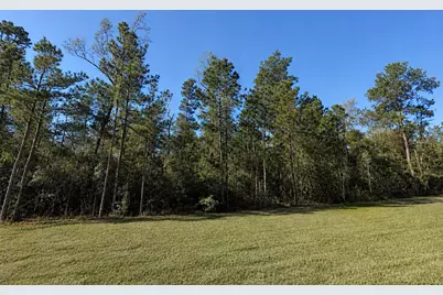 30 Coyote Run, Willis, TX 77378 - Photo 4