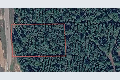 15576 Forest Grove Drive, Willis, TX 77378 - Photo 1