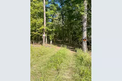 00 Midway Loop, Livingston, TX 77351 - Photo 4