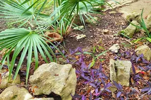 706 Maple St, Sweeny, TX 77480 - Photo 6