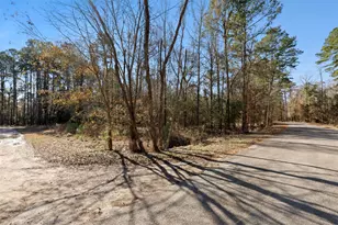 0000 Jack Frost, Onalaska, TX 77360 - Photo 1