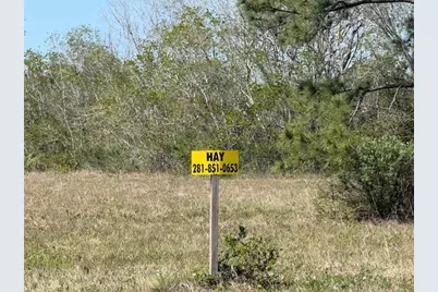 12217 Fm 1462, Alvin, TX 77511 - Photo 10