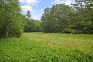 18 Pinery Ridge Pl, Spring, TX 77382 - Photo 38