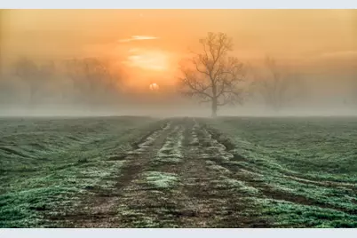 0000 Steck Bottom Road, Sealy, TX 77474 - Photo 6