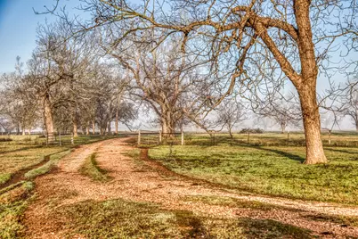 0000 Steck Bottom Road, Sealy, TX 77474 - Photo 12