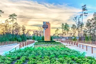 416 Venado View Court, Conroe, TX 77304 - Photo 2