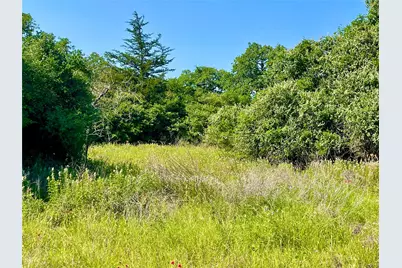 9211 Stetson Drive, Normangee, TX 77871 - Photo 14