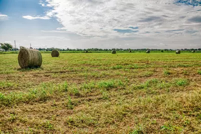 0 Richard Frey Road, Waller, TX 77484 - Photo 16
