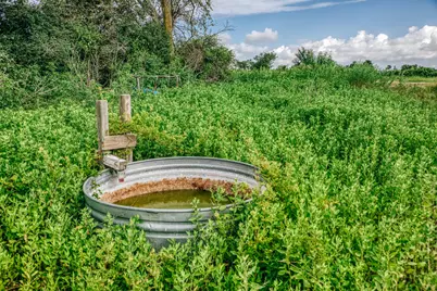 0 Richard Frey Road, Waller, TX 77484 - Photo 8