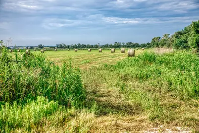 0 Richard Frey Road, Waller, TX 77484 - Photo 14