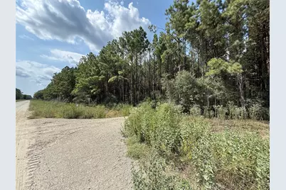 5700 Black Cat Road, Sour Lake, TX 77659 - Photo 4