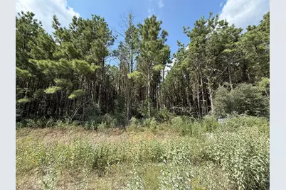 5700 Black Cat Road, Sour Lake, TX 77659 - Photo 6